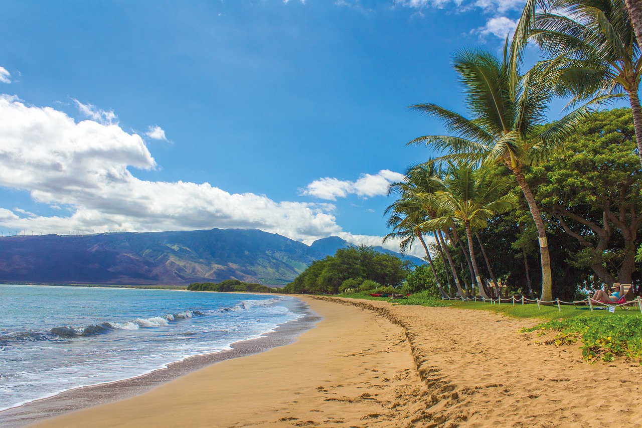 beach, nature, landscape-1630540.jpg
