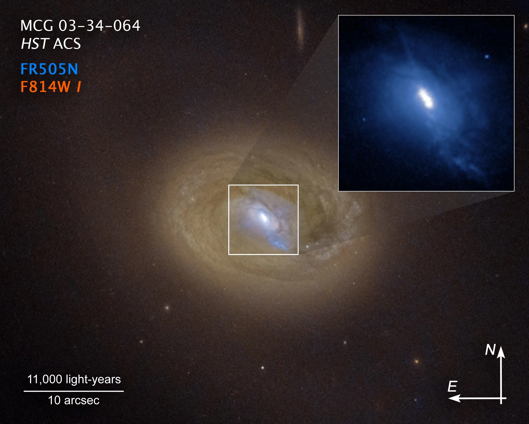 A Hubble Space Telescope visible-light image of the galaxy MCG-03-34-064. Hubble’s sharp view reveals three distinct bright spots embedded in a white ellipse at the galaxy’s center (expanded in an inset image at upper right). Two of these bright spots are the source of strong X-ray emission, a telltale sign that they are supermassive black holes. The black holes shine brightly because they are converting infalling matter into energy, and blaze across space as active galactic nuclei. Their separation is about 300 light-years. The third spot is a blob of bright gas. The blue streak pointing to the 5 o’clock position may be a jet fired from one of the black holes. The black hole pair is a result of a merger between two galaxies that will eventually collide. Credit: NASA, ESA, Anna Trindade Falcão (CfA), Joseph DePasquale (STScI)